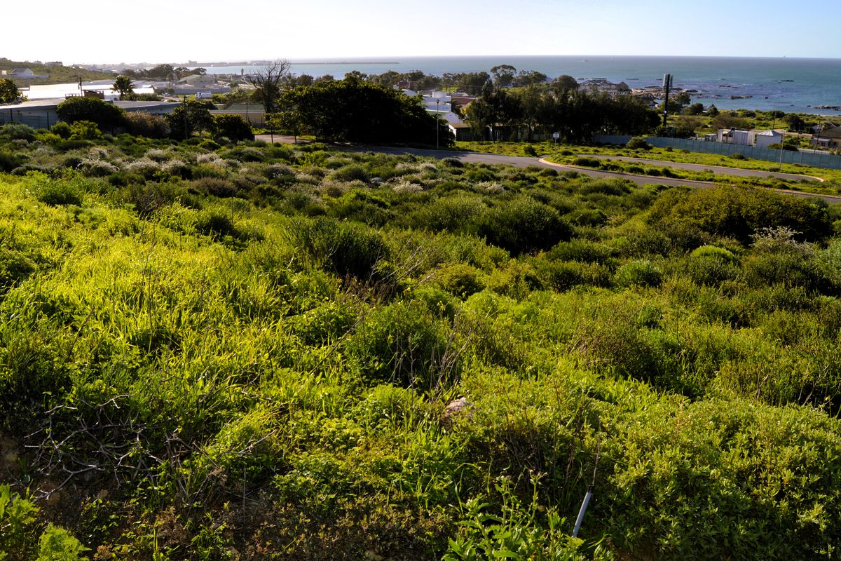 Not to be missed!!! A 508m2 Erf @ R499 000-00 in St Helena Bay. - Photo 4