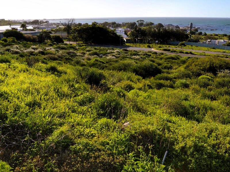 Not to be missed!!! A 508m2 Erf @ R499 000-00 in St Helena Bay. - Photo 4