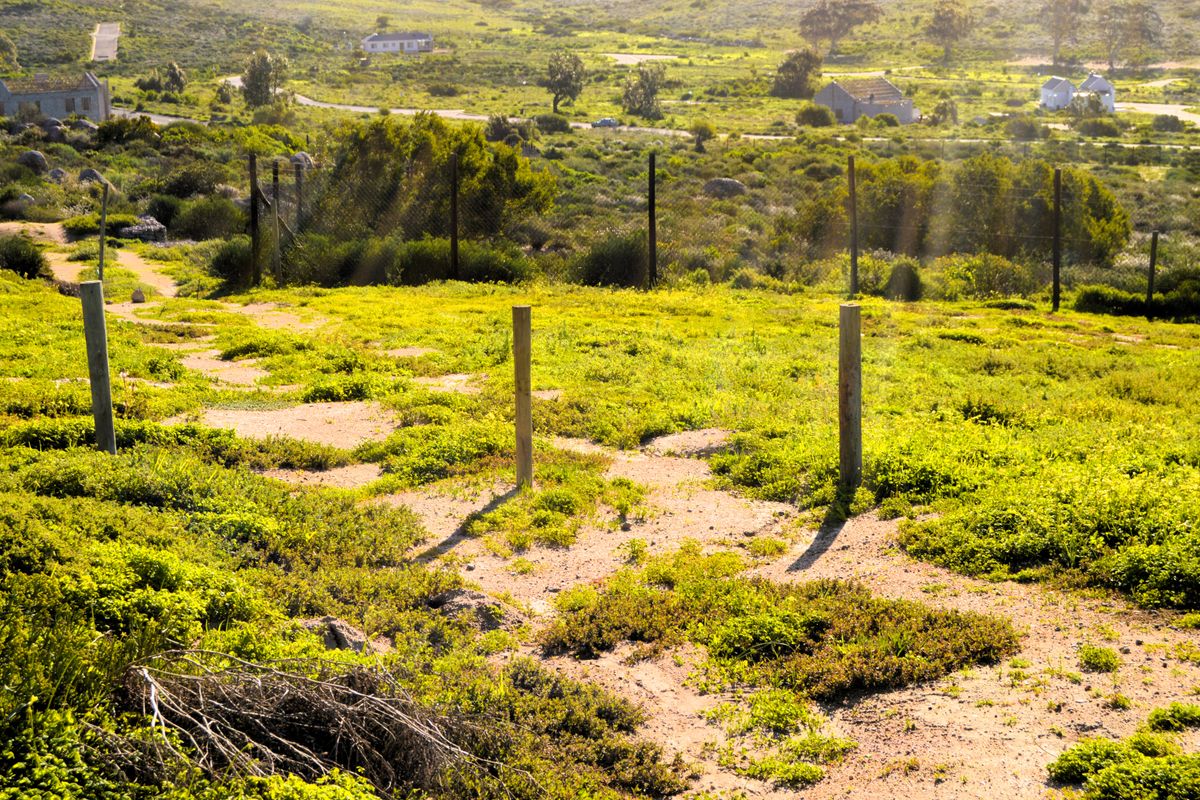 Not to be missed!!! A 443m2 Erf @ R399 000 in St Helena Bay. - Photo 2