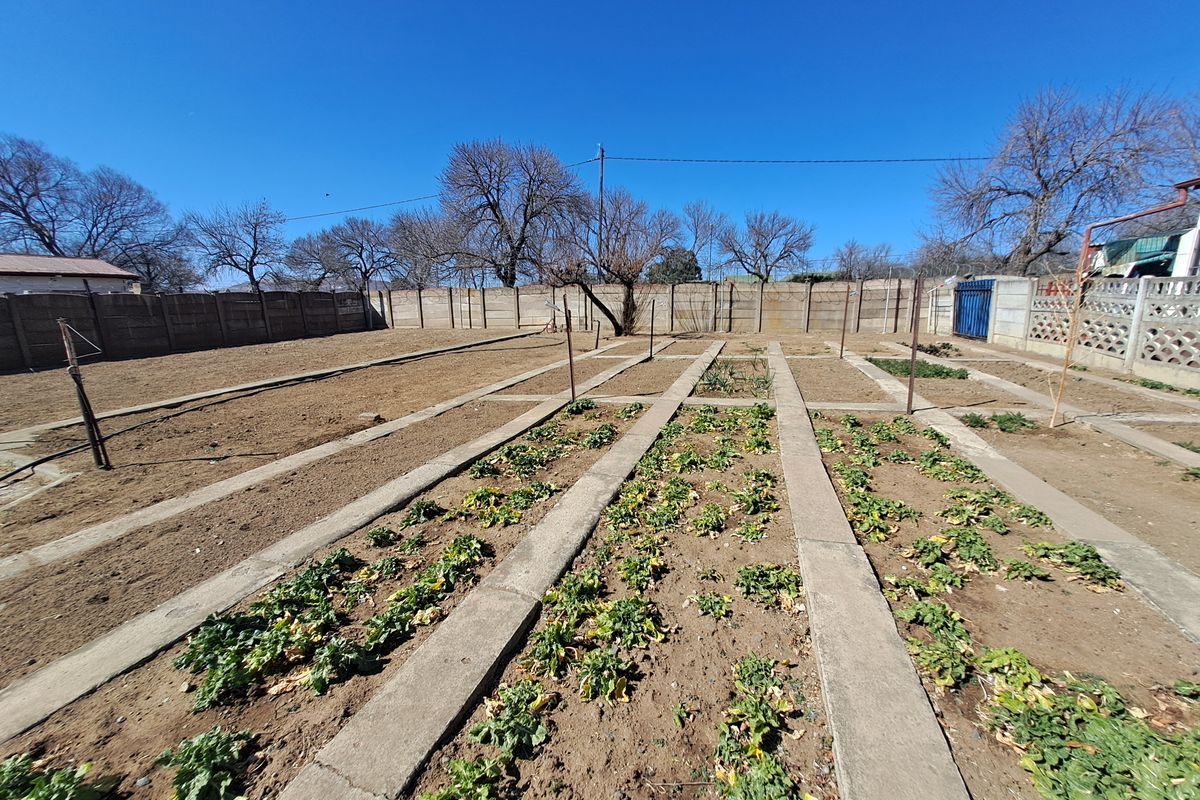 Charming Property with Lush Vegetable Gardens and a Thriving Orchard for Sale - Photo 2