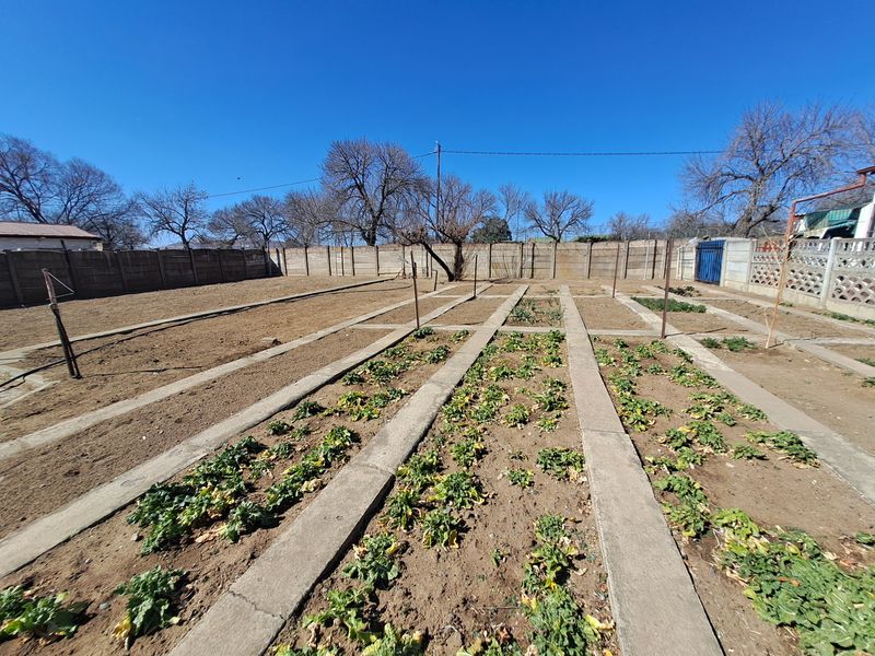 Charming Property with Lush Vegetable Gardens and a Thriving Orchard for Sale - Photo 2