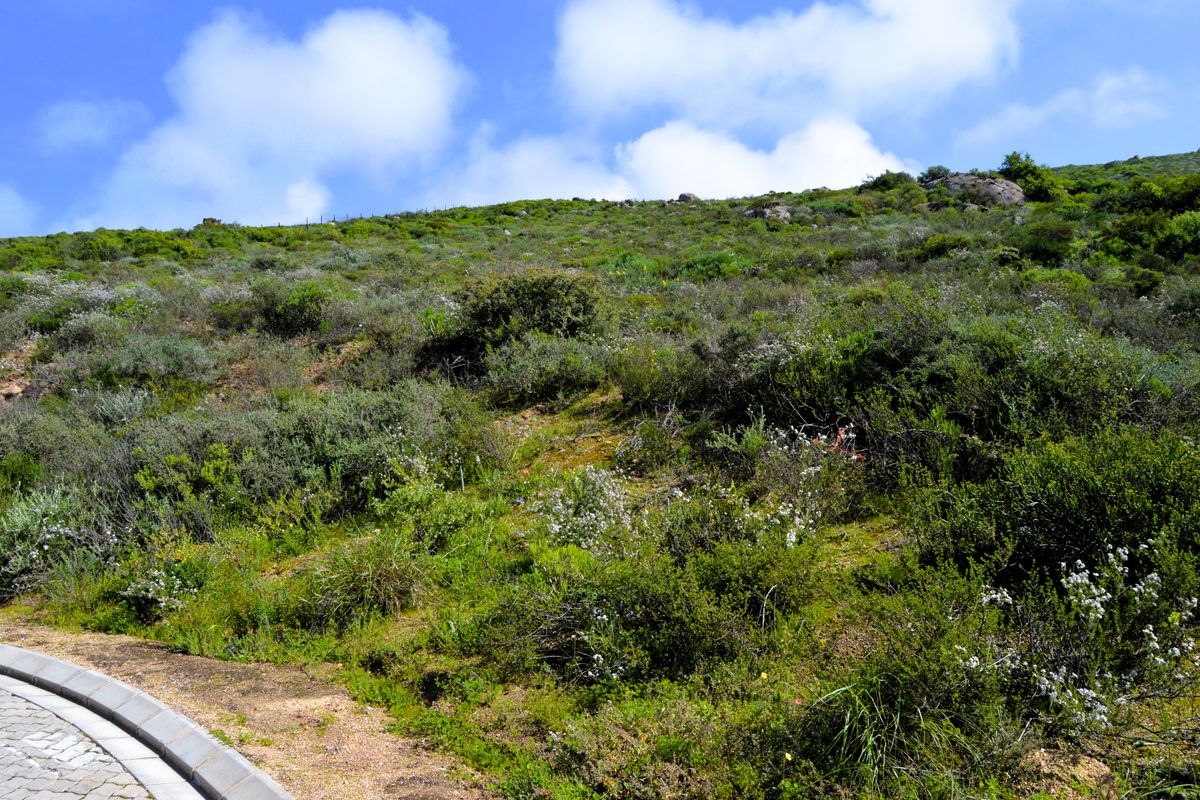 Not to be missed!!! A 426m2 Erf @ R699 000-00 in St Helena Bay. - Photo 5