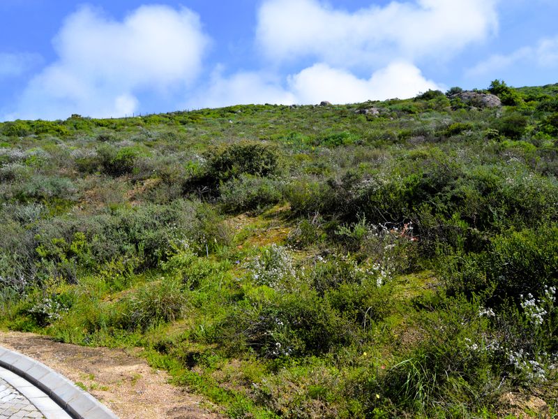 Not to be missed!!! A 426m2 Erf @ R699 000-00 in St Helena Bay. - Photo 5