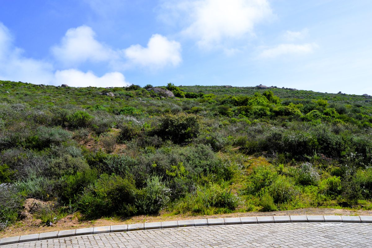 Not to be missed!!! A 426m2 Erf @ R699 000-00 in St Helena Bay. - Photo 2