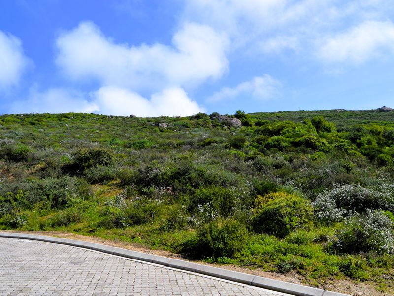 Not to be missed!!! A 426m2 Erf @ R699 000-00 in St Helena Bay. - Photo 6