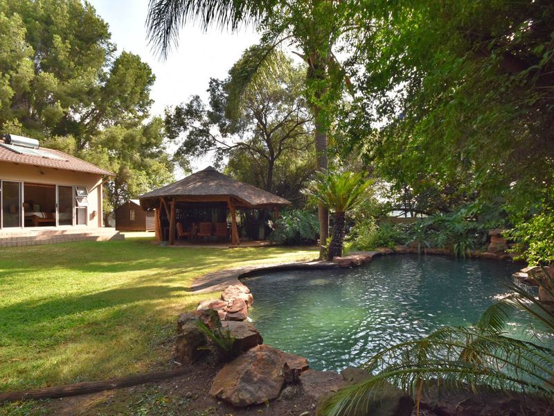 A spacious backyard featuring a natural-style swimming pool, a thatched gazebo, and a well-maintained lawn with mature trees and garden landscaping.