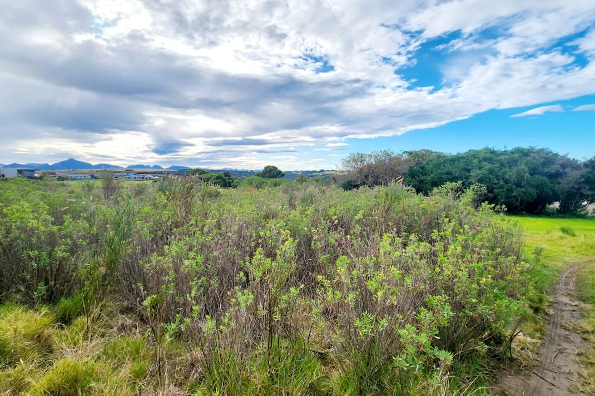 A view of the vacant residential land featuring natural vegetation and surrounding landscape.