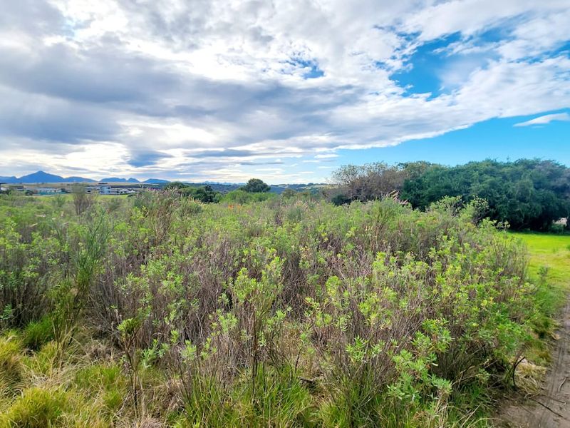 A view of the vacant residential land featuring natural vegetation and surrounding landscape.