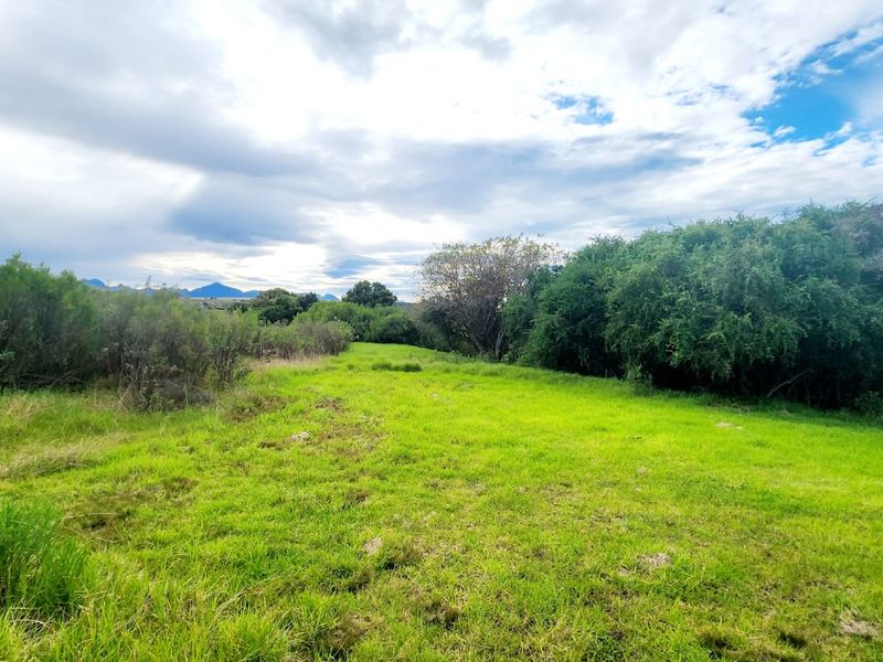 A view of a vacant residential plot featuring natural grassland, mature trees, and established shrubbery under a cloudy sky.