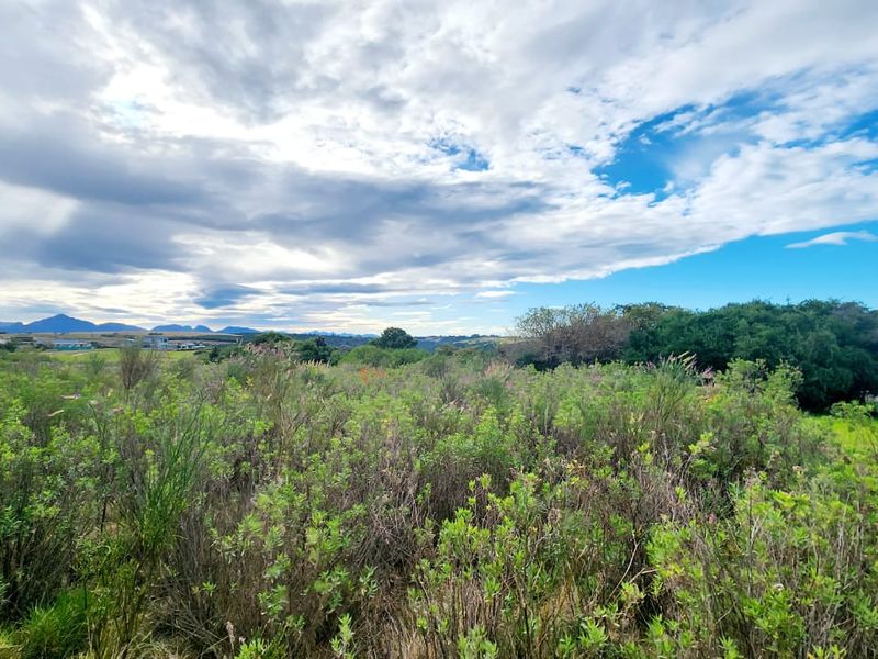 A wide-angle view of the vacant residential land featuring natural vegetation, shrubs, and distant mountain scenery under a cloudy sky.