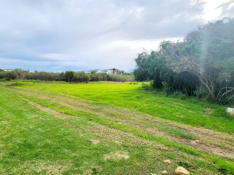A view of a vacant residential plot featuring open grassland, mature trees, and an unpaved access track.