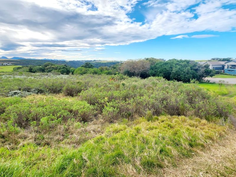 A wide-angle view of a vacant residential plot featuring natural vegetation, surrounding landscape, and distant residential properties.