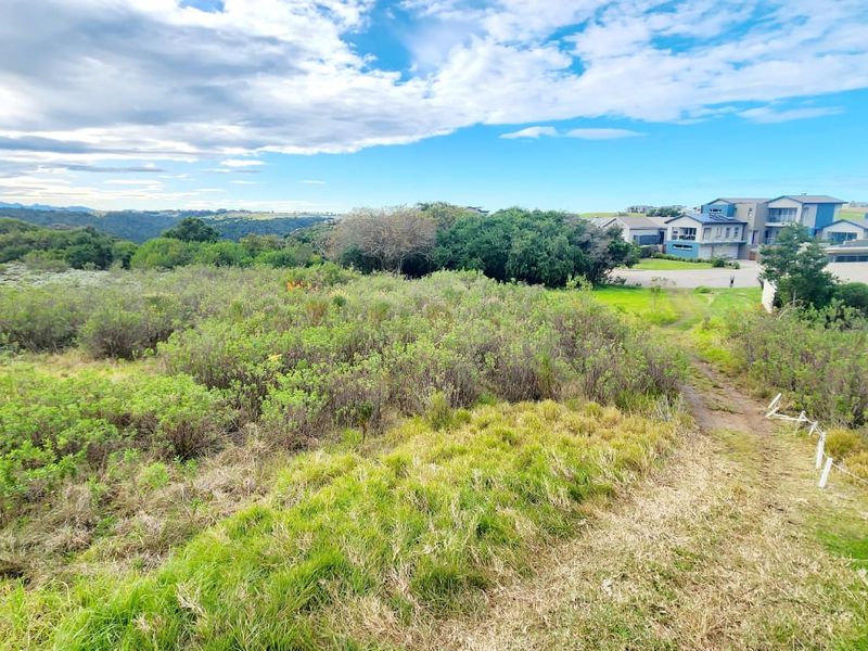 A wide-angle view of an undeveloped residential plot featuring natural vegetation and surrounding landscape.