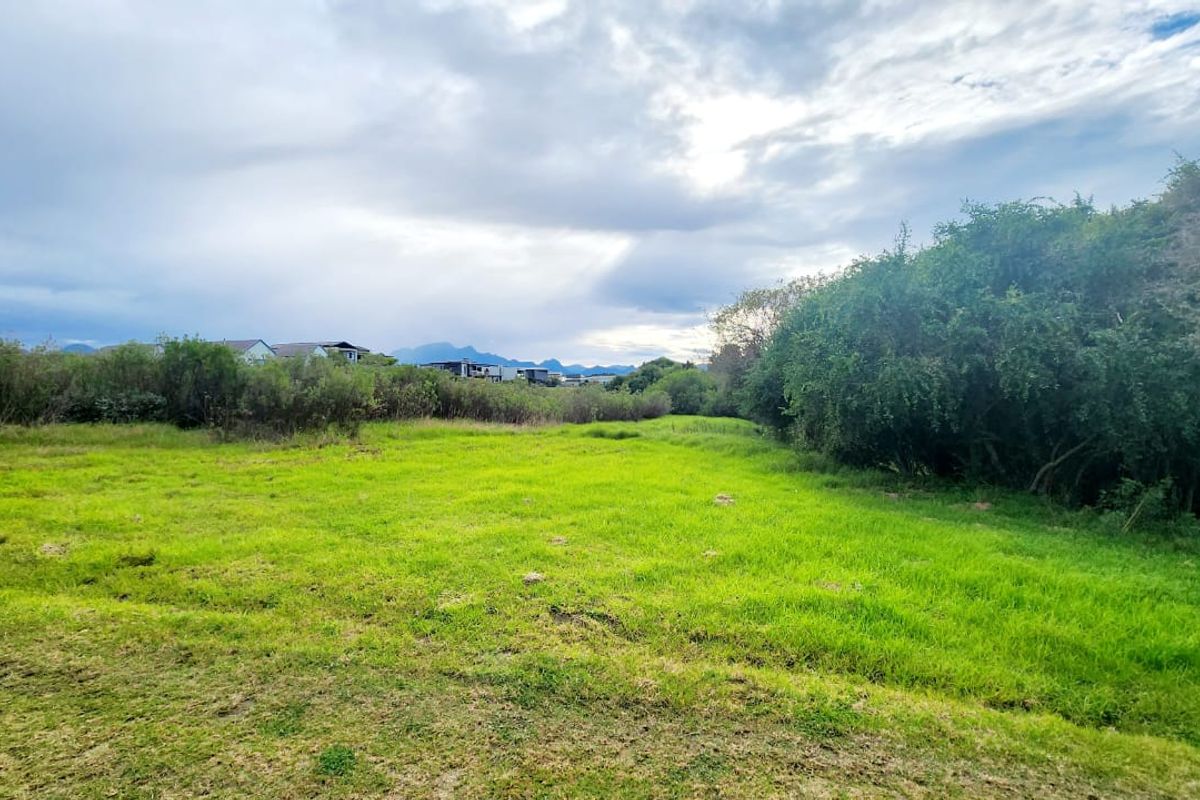 A view of a vacant residential plot featuring open grassy areas surrounded by mature trees and natural shrubbery.