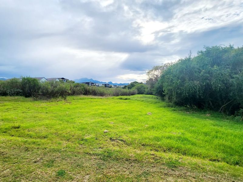 A view of a vacant residential plot featuring open grassy areas surrounded by mature trees and natural shrubbery.