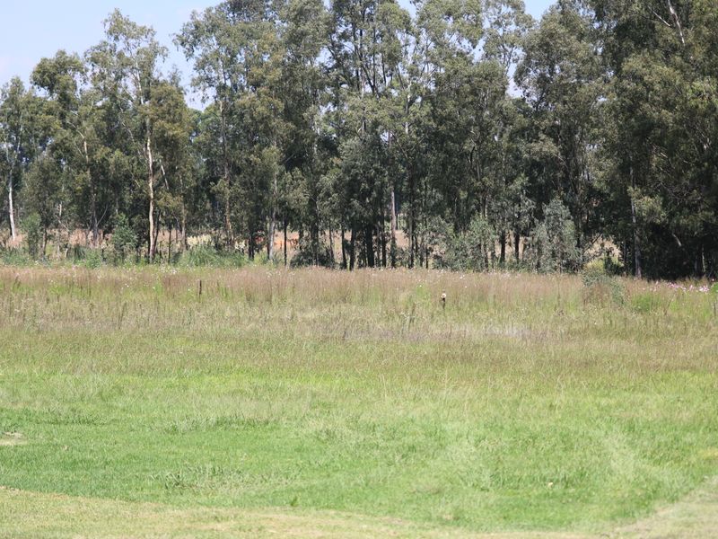 MASSIVE 17.9 Hectares PLUS Houses - Photo 9