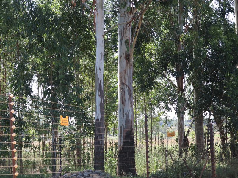 MASSIVE 17.9 Hectares PLUS Houses - Photo 4