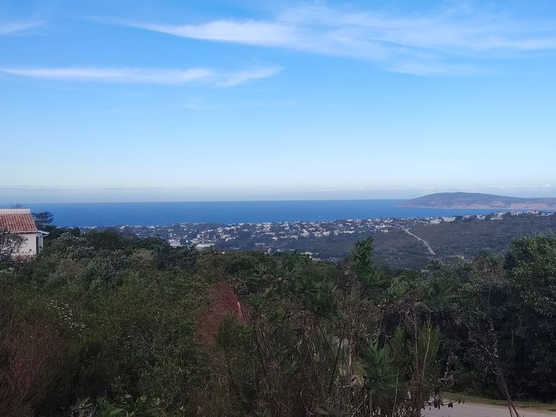 A scenic elevated view overlooking the coastal landscape, surrounding vegetation, and distant ocean horizon.