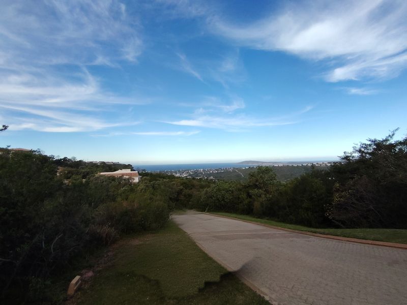 A scenic elevated view overlooking the coastal landscape and distant ocean horizon, featuring a paved driveway leading through the natural vegetation.