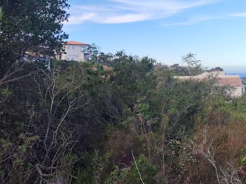 A view of the surrounding landscape and neighbouring residential properties, featuring dense native vegetation and sloped terrain.