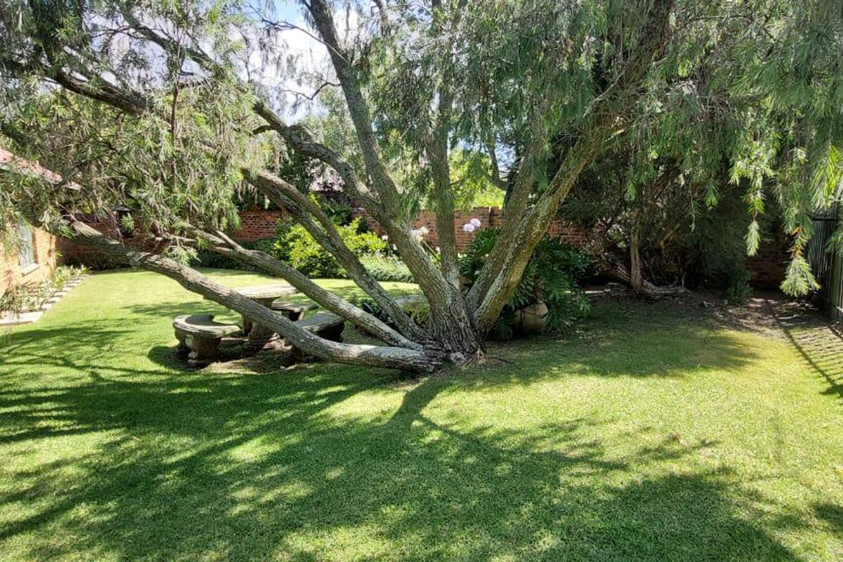 House for sale in a great area of Secunda! - Photo 5