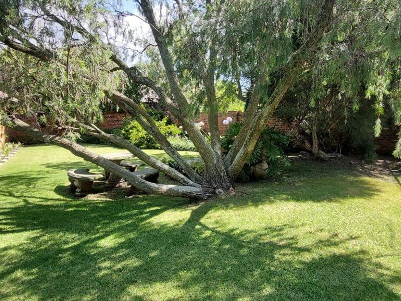 A well-maintained garden area featuring a large mature tree, manicured lawn, and perimeter metal fencing.