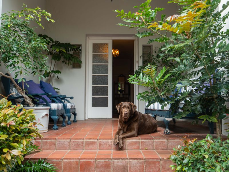 A covered patio area featuring terracotta tiled flooring and a classic multi-pane glass panel entrance door.