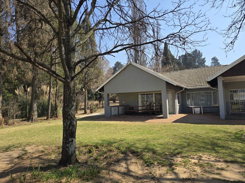 Rear view of the property featuring a covered patio area, tiled roof, and expansive garden space with mature trees.