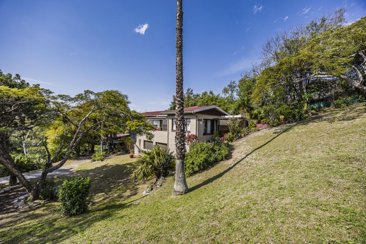 A view of the rear elevation of the house, featuring a metal roof, sliding windows, and a sloped garden area with mature trees.
