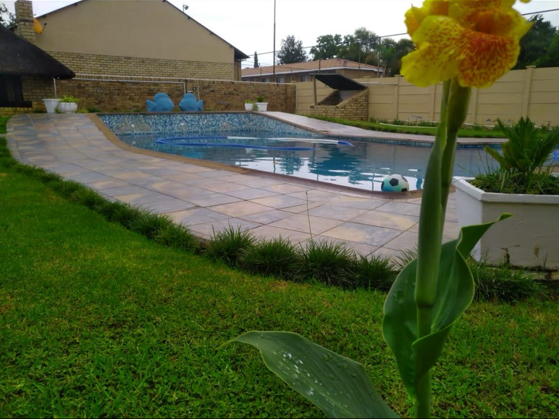 A well-maintained swimming pool area featuring a tiled surround, lush lawn, and secure boundary wall, perfect for outdoor relaxation.