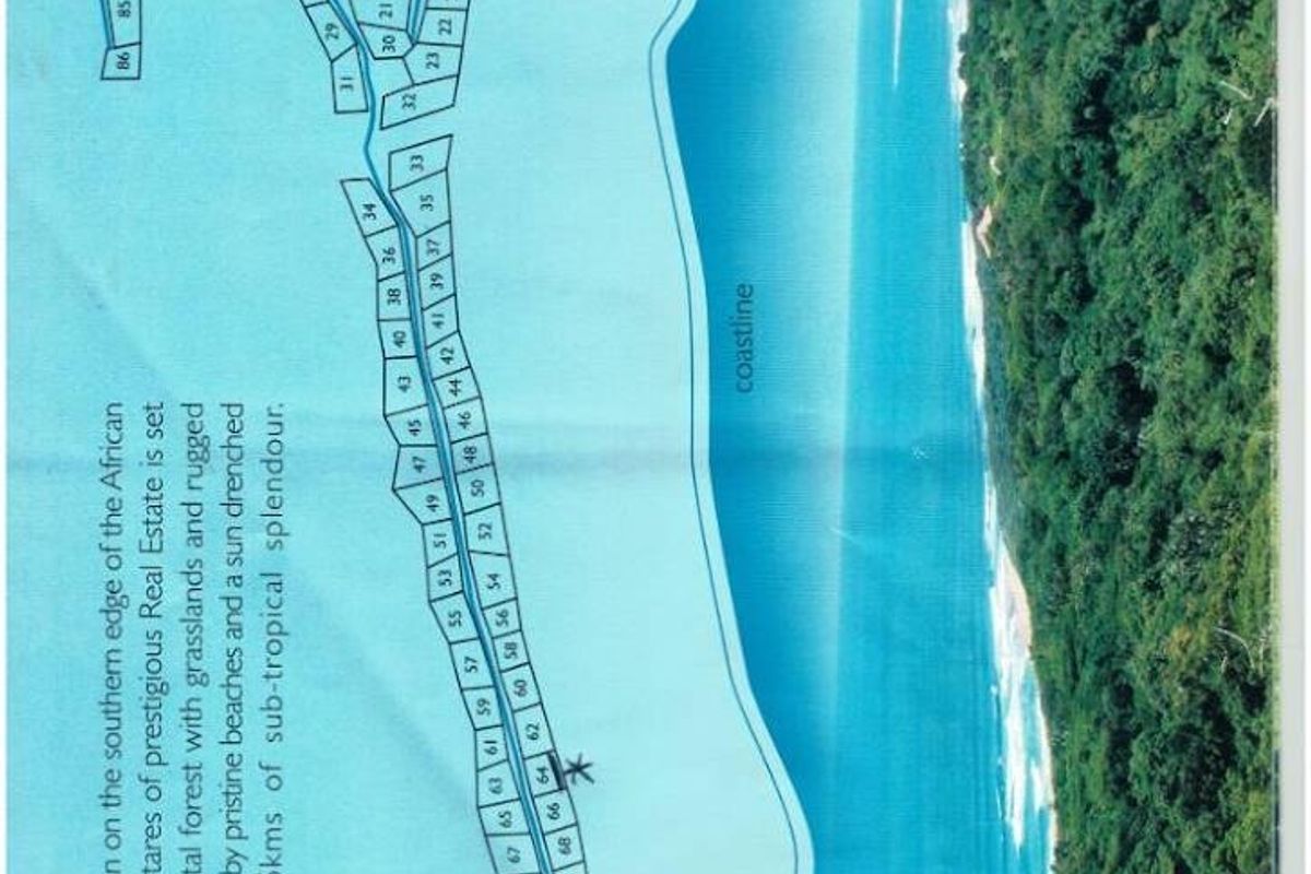 A site map and layout plan for a residential estate development, showing individual plots in relation to the coastline and surrounding forest.
