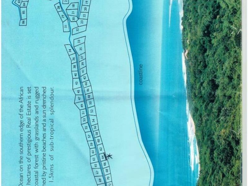 A site map and layout plan for a residential estate development, showing individual plots in relation to the coastline and surrounding forest.