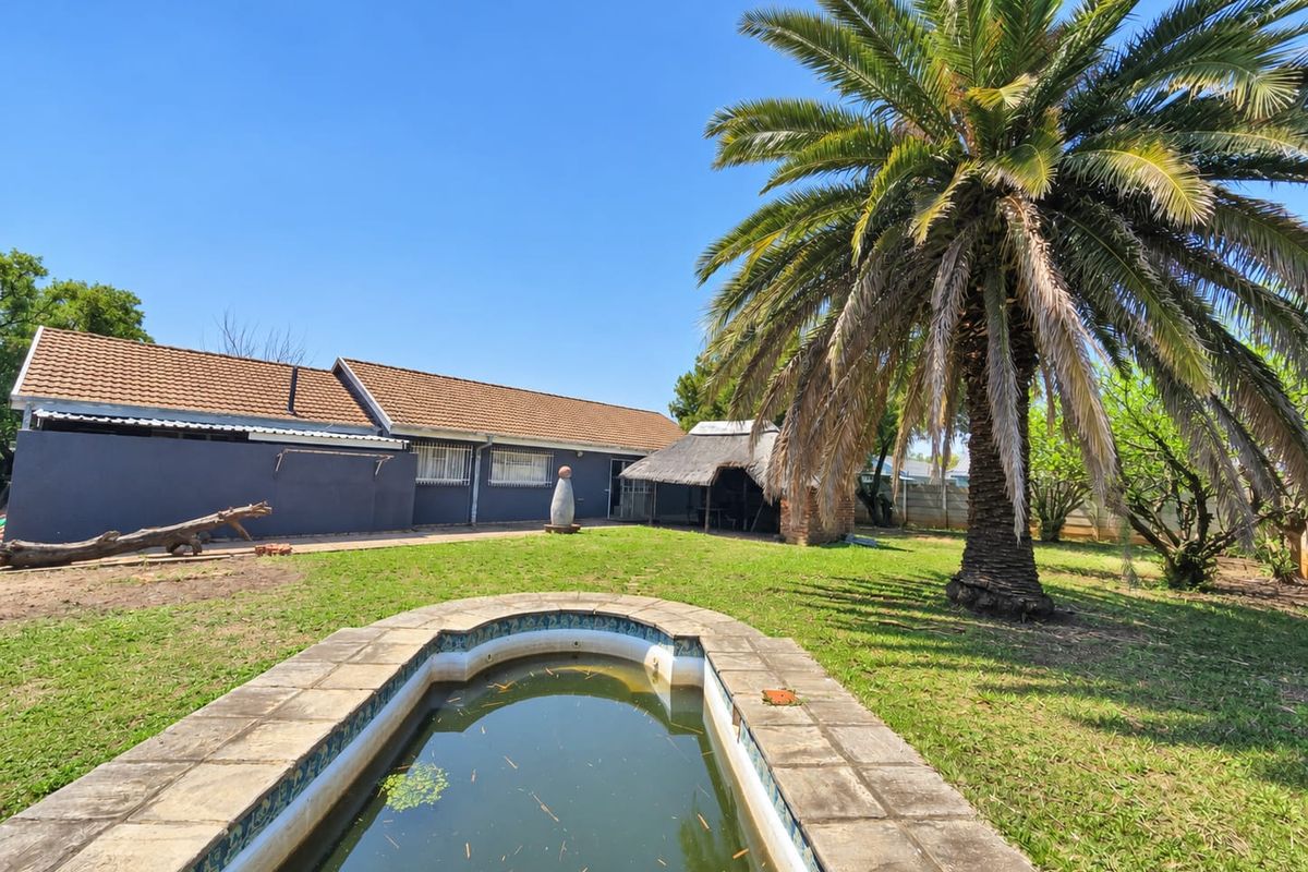 Rear garden featuring a swimming pool, a thatched lapa, and a large palm tree, set against the back elevation of the house.