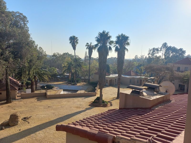 Elevated view overlooking a communal garden area with a swimming pool, mature palm trees, and surrounding residential building structures.