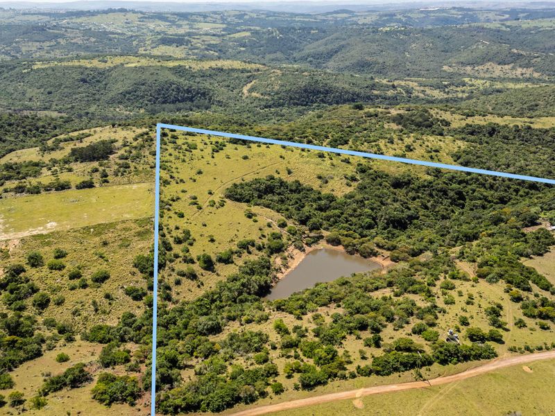 70-Hectare Versatile Farm for Sale – Schafli Road - Photo 9