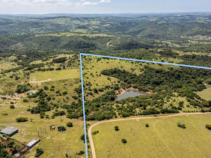 70-Hectare Versatile Farm for Sale – Schafli Road - Photo 8