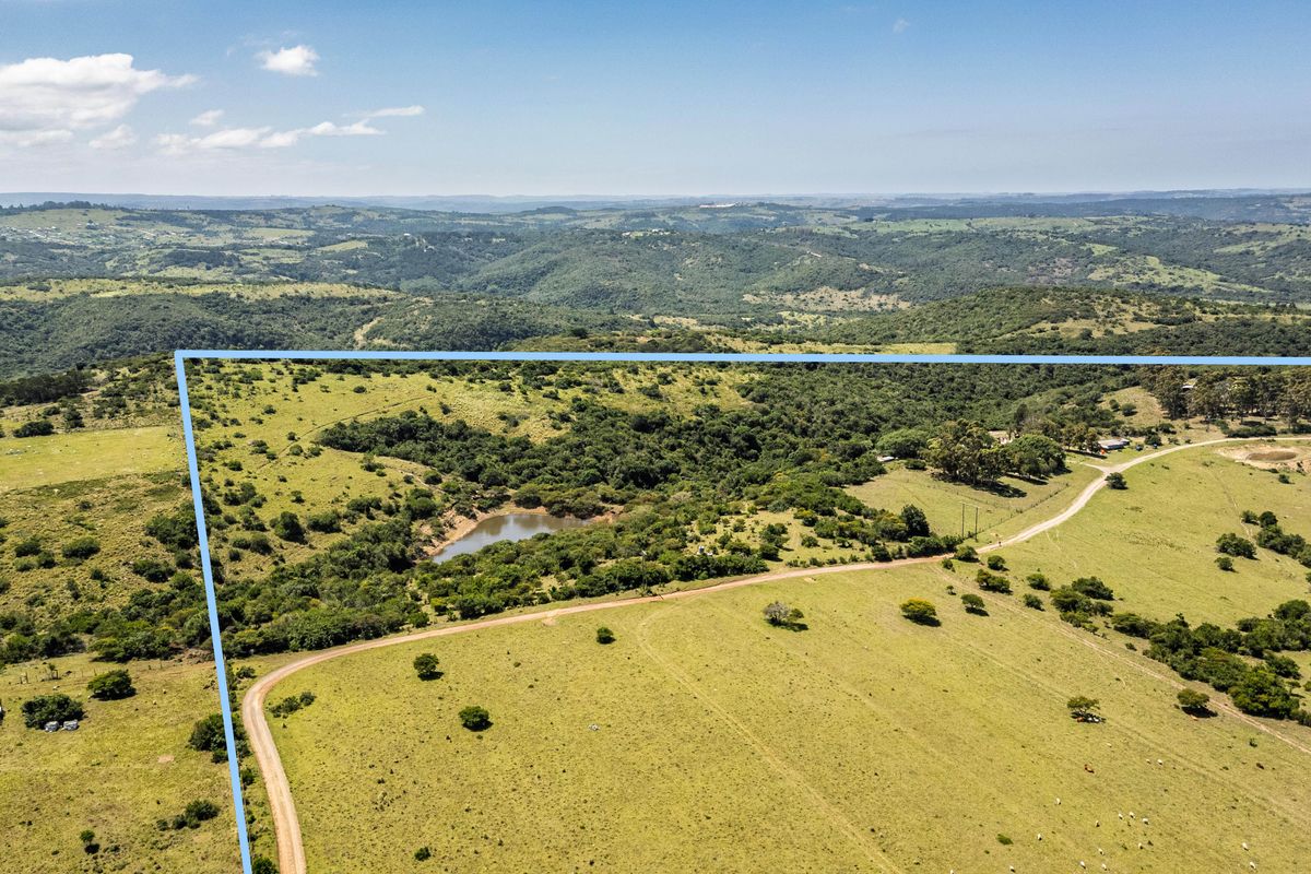 Aerial view of expansive farm land featuring rolling hills, natural vegetation, a small dam, and gravel access roads.