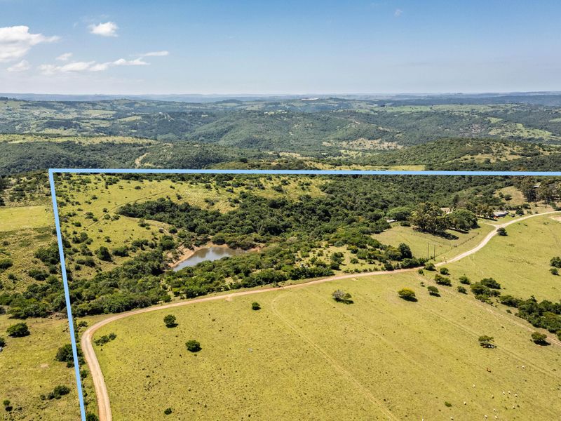 70-Hectare Versatile Farm for Sale – Schafli Road - Photo 2