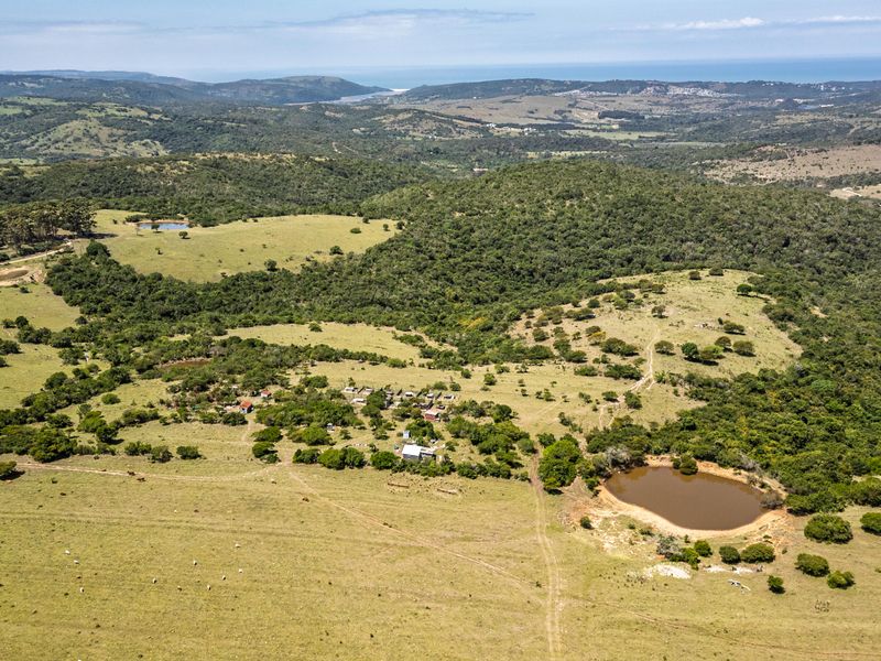 70-Hectare Versatile Farm for Sale – Schafli Road - Photo 3
