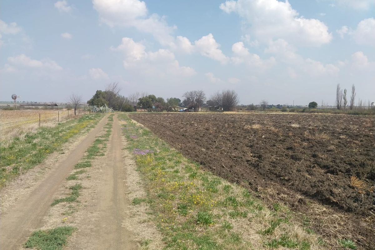 A view of the small holding featuring a dirt access road alongside a large ploughed agricultural field under a clear sky.