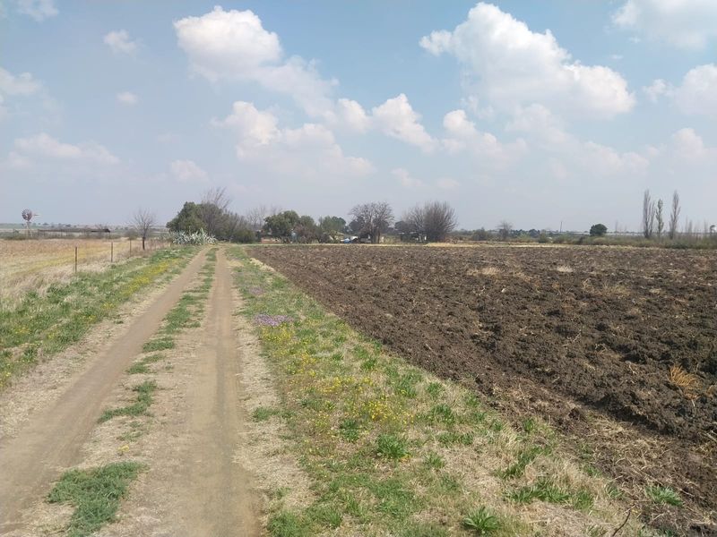 A view of the small holding featuring a dirt access road alongside a large ploughed agricultural field under a clear sky.