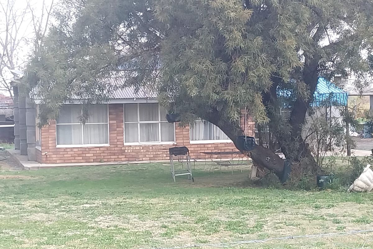 Rear view of a brick-clad small holding dwelling featuring a corrugated metal roof, partially obscured by a large mature tree and perimeter fencing.