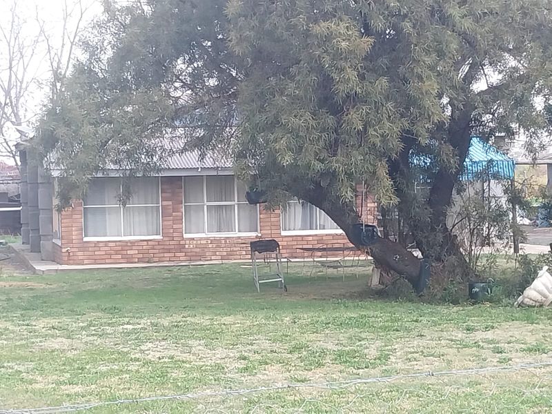 Rear view of a brick-clad small holding dwelling featuring a corrugated metal roof, partially obscured by a large mature tree and perimeter fencing.