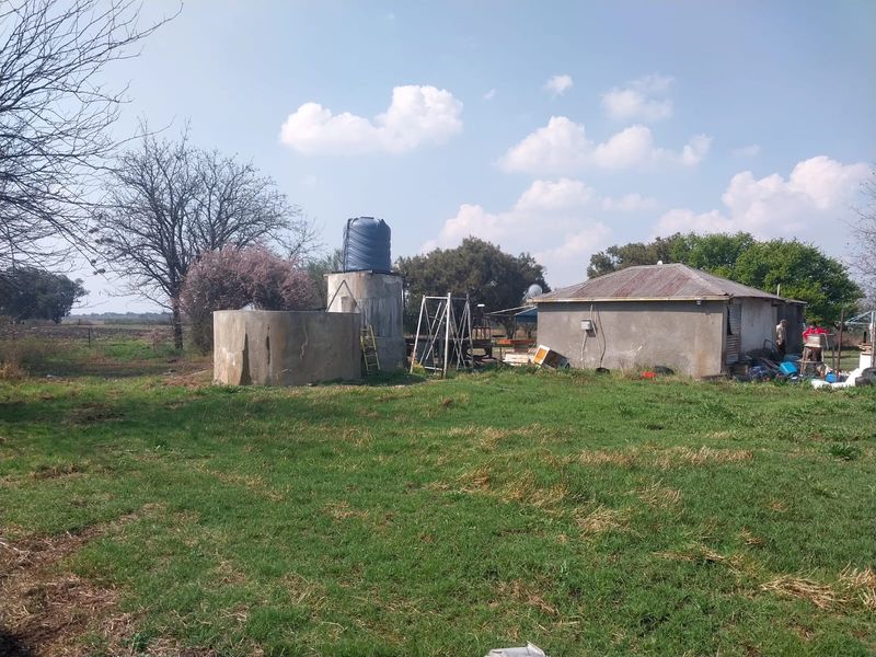 Rear view of the small holding showing a basic outbuilding with a corrugated metal roof and external water storage infrastructure.