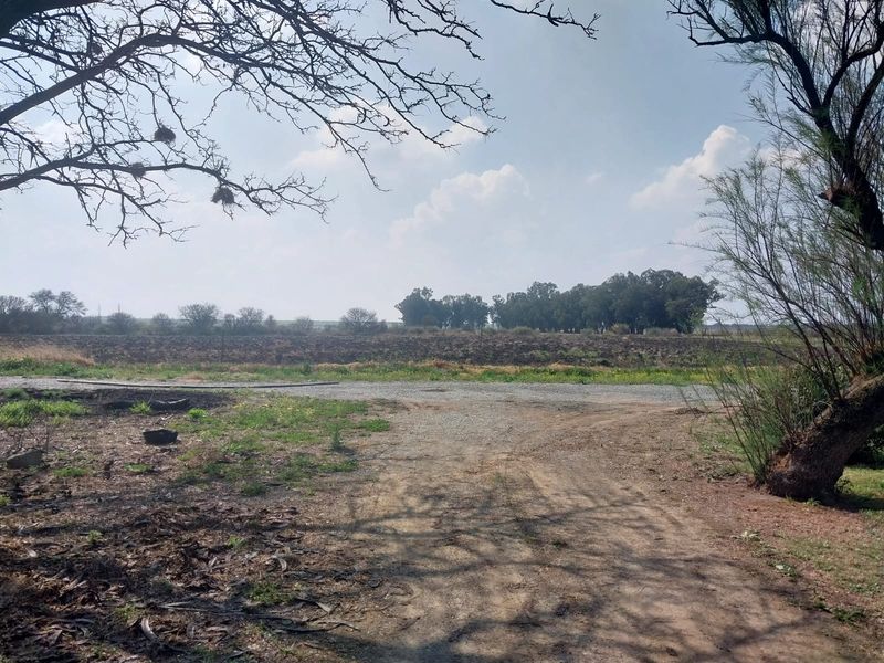 A view of the open landscape and gravel driveway on the small holding property.