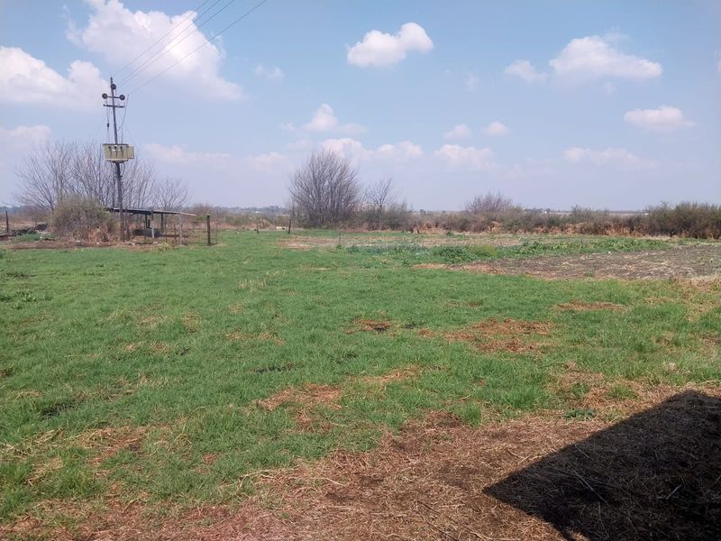 An expansive open garden area on a small holding, featuring natural grass, perimeter fencing, and an electrical utility pole.