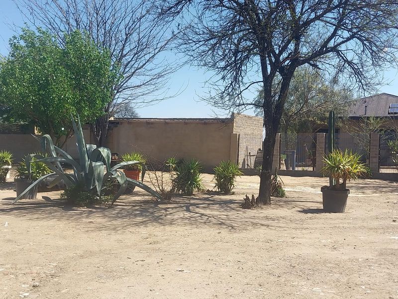 A spacious, unpaved garden area featuring mature trees, established succulents, and perimeter boundary walls on a small holding property.