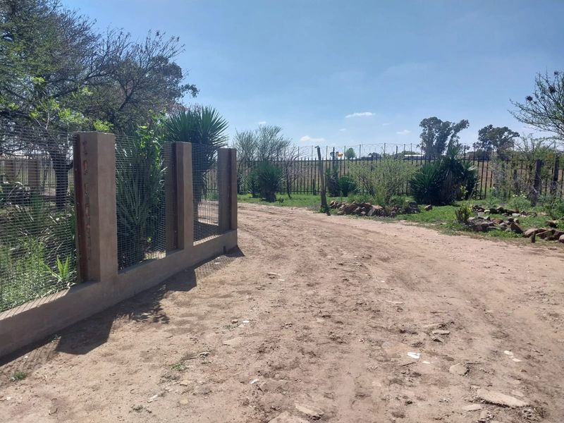 A view of the property entrance featuring a dirt driveway, perimeter fencing with concrete pillars, and established garden vegetation.