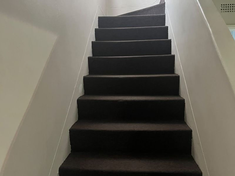 A simple, carpeted staircase leading to the upper level of the home.
