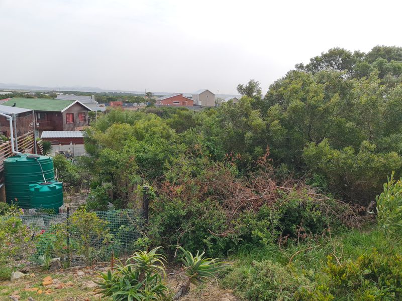 A view of a residential plot featuring dense native vegetation, wire mesh fencing, and installed water storage tanks.